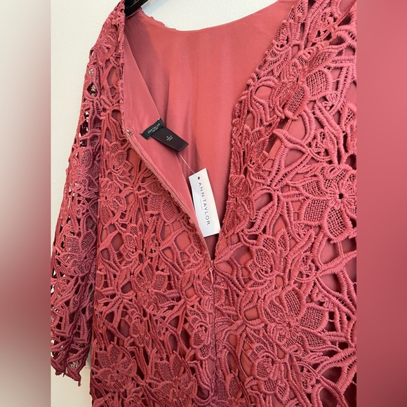 NWT Ann Taylor lace sheath dress size 2 - Picture 4 of 4